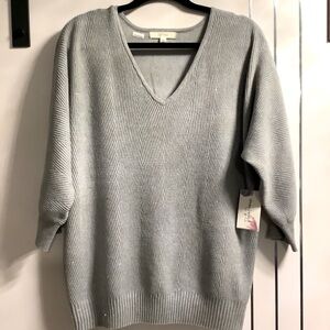 🌟Host PickPlus Size Peyton Primrose 1X Soft Grey Sparkly Textured Pullover